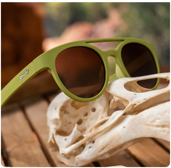 PHG 'Fossil Finding Focals' Sunglasses