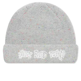 Wild Record Knit Beanie - Grey